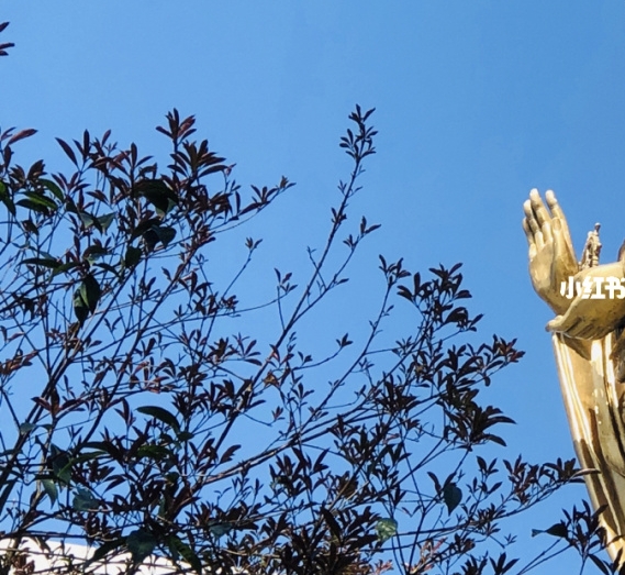 古代年龄文学常识