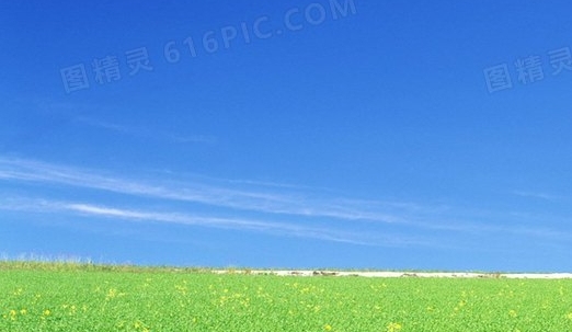 喜欢艺术从事艺术的人性格