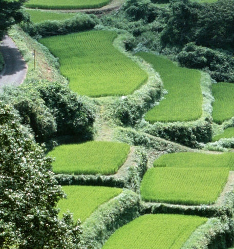 商城购物骗局套路大全图解