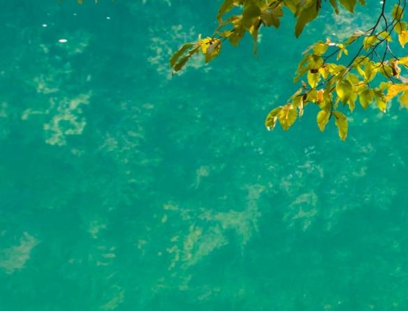 浩如烟海的文化典籍