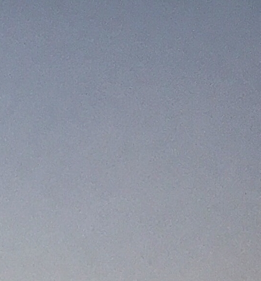 遗言生活