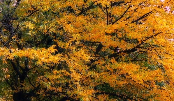 常识分享内容