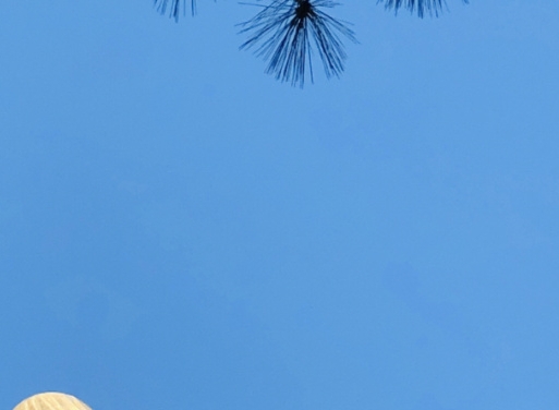 托卡生活我的生活