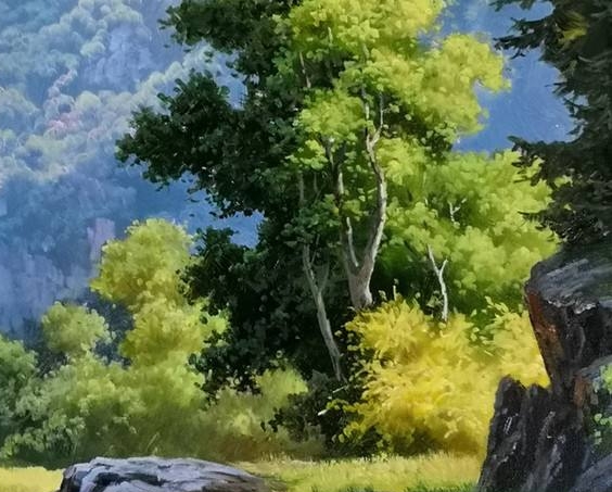 文鸟生活