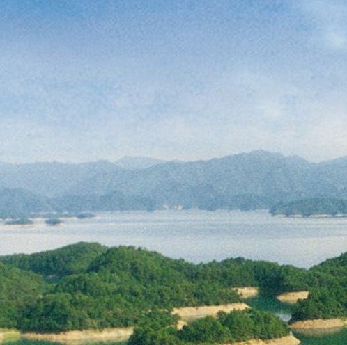 情感治愈姿势图