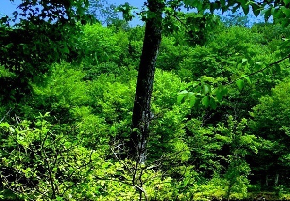 生活碎片是什么意思