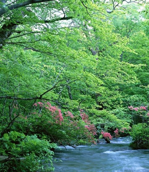 文学常识四六级