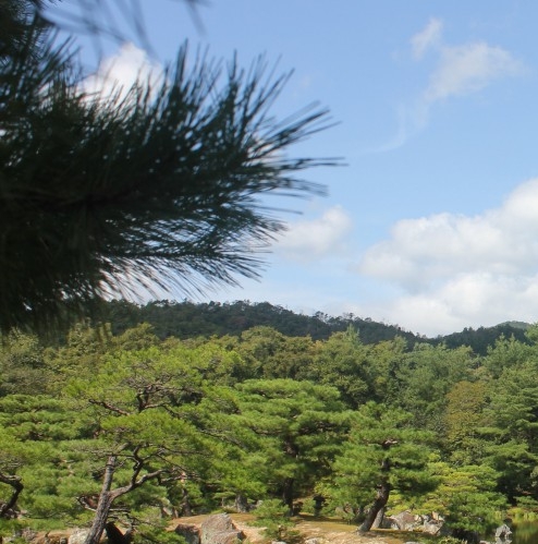 小会商城