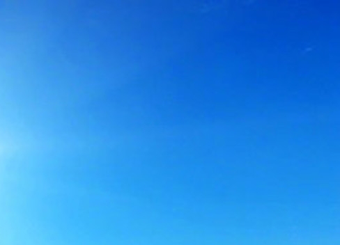 广西蝌蚪粥