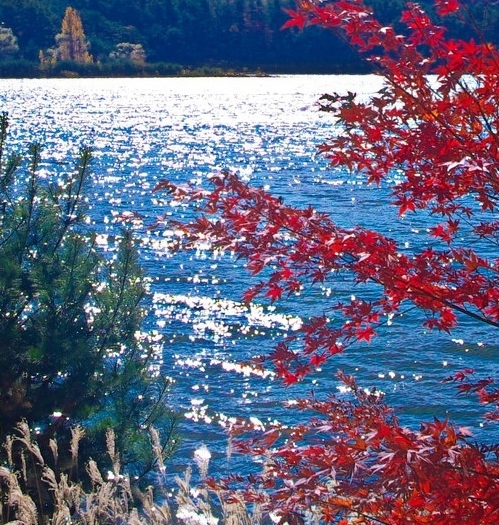 临沂通讯商城