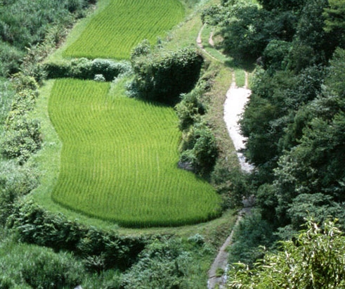 已经跑路的商城