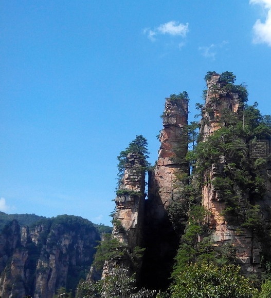 进口艺术漆