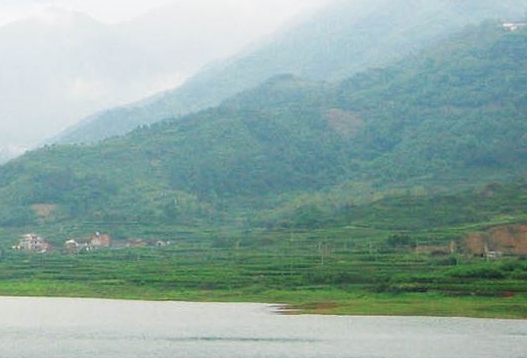 苹果国行商城