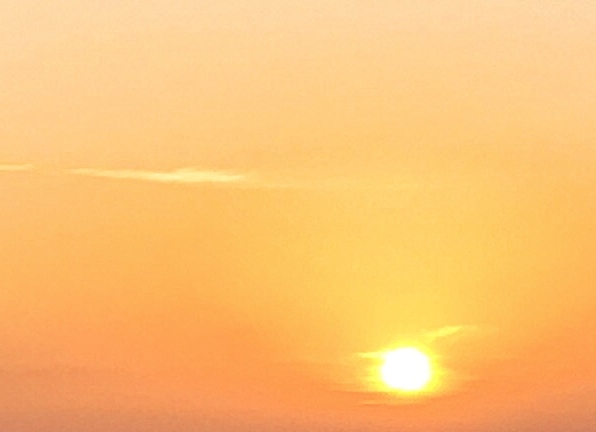 SHR是什么意思