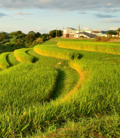 生活小常识家居生活