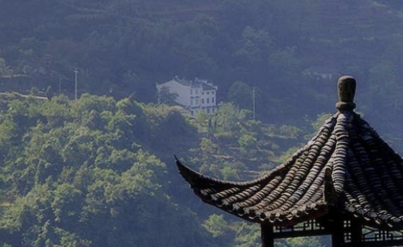 方头指甲图片艺术