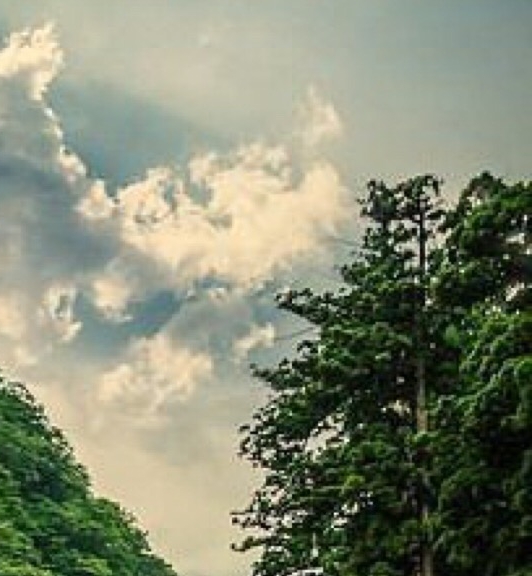 情感短文章视频