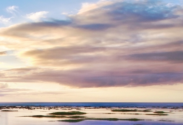 海燕的情感路线