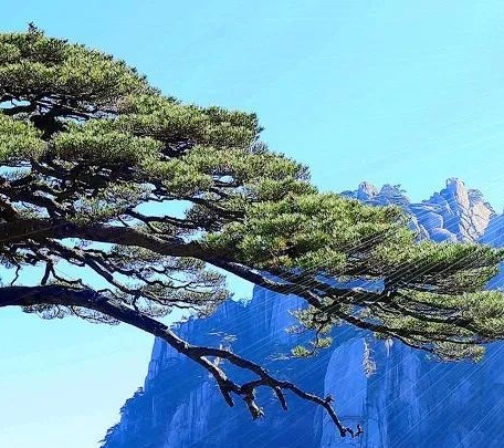 说话怎么能带情感