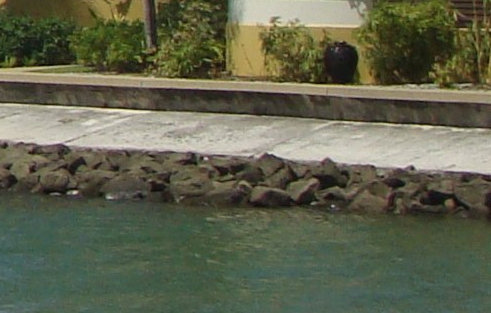 青岛艺术展览