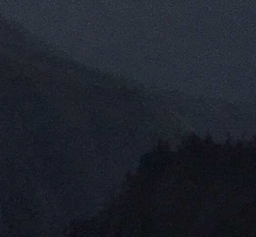河中生活的动物
