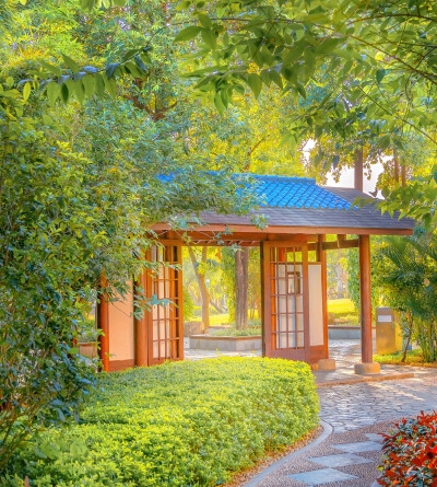 种小麦的条件