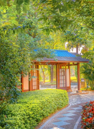 小米笔记怎么导出