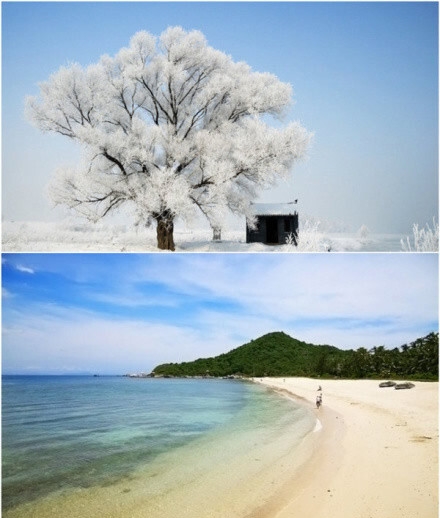 上引水生活地址