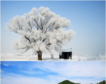 购物诈骗宣传图片