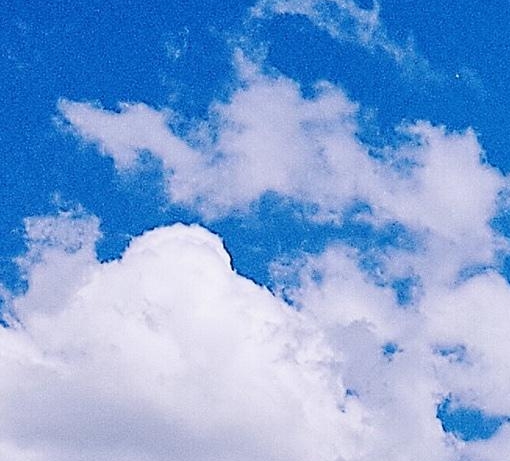 艺术绘画教案过年