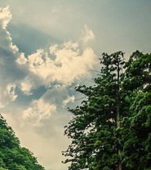 果果鲜生商城