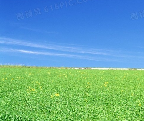 高考英语情感词汇