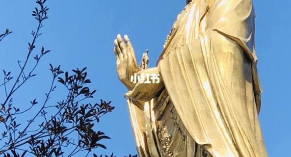 生活课系鞋带教案