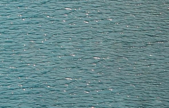 浪迹情感