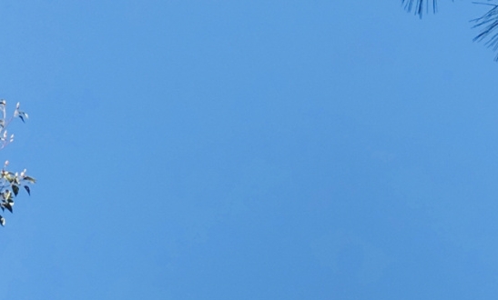节日生活坊