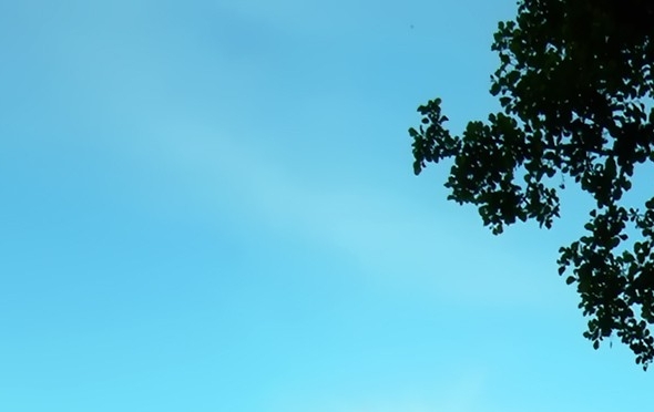 简述艺术活动中的滑稽