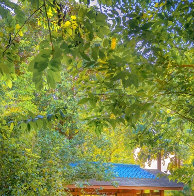 世界十大艺术名人