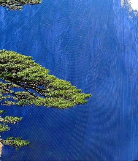 茱迪购物攻略
