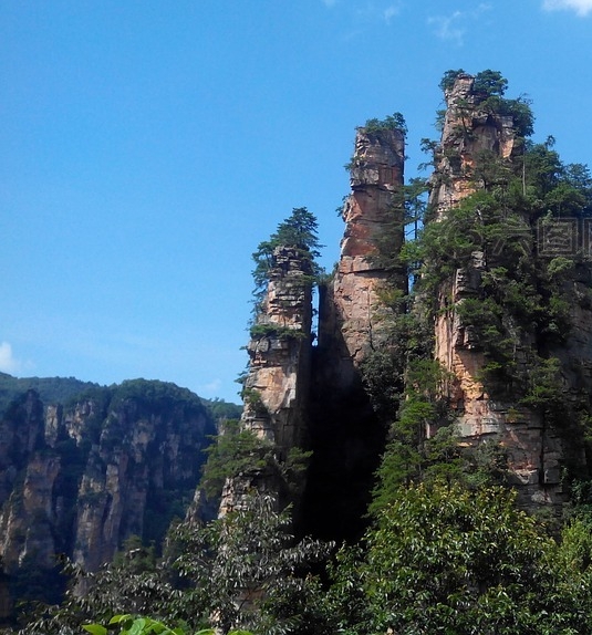 红酒万合商城