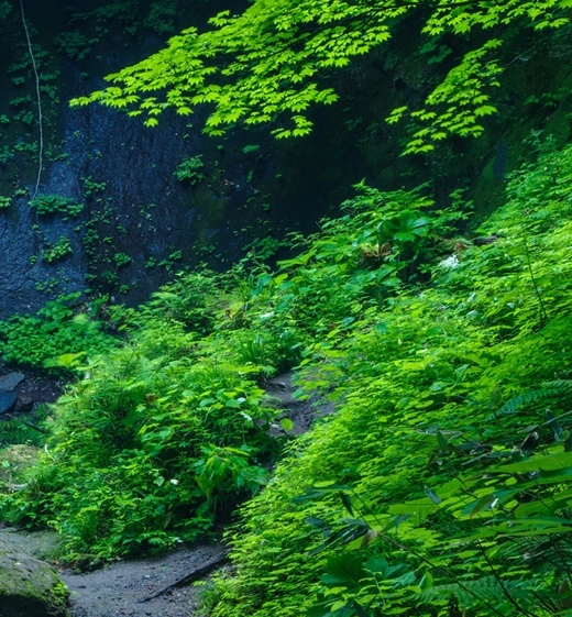 部队生活影像