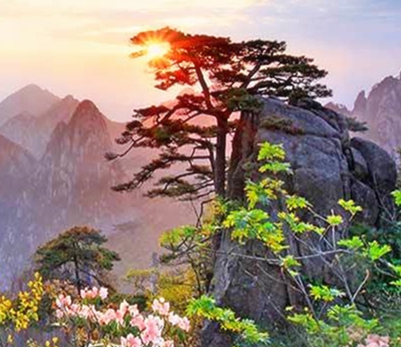 油画棒 艺术