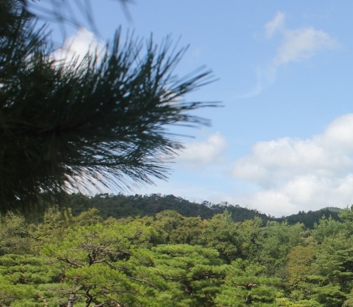 生活蜜月