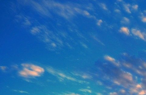 情感疏导师是什么意思