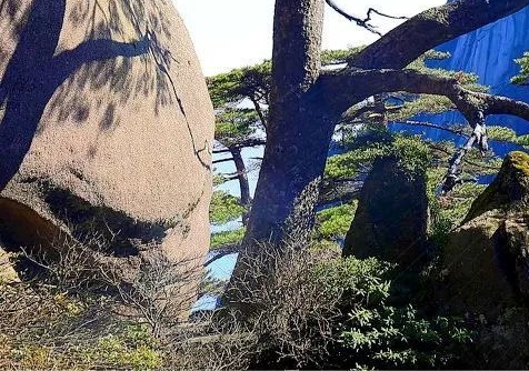 众合商城是什么