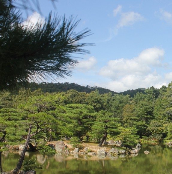 小米商城 滴滴出行