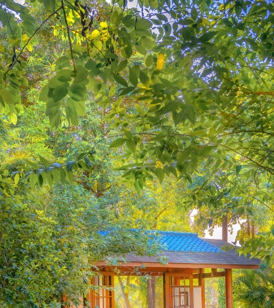 情感视频模板音乐