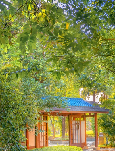 荧魈校园同人文
