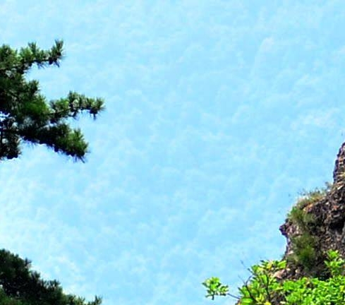 美美谈情感