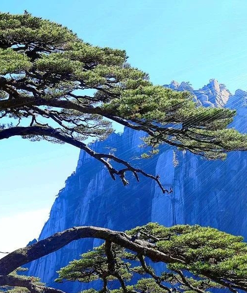 启动旅居生活