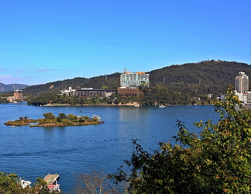 疯狂大杨哥生活号l